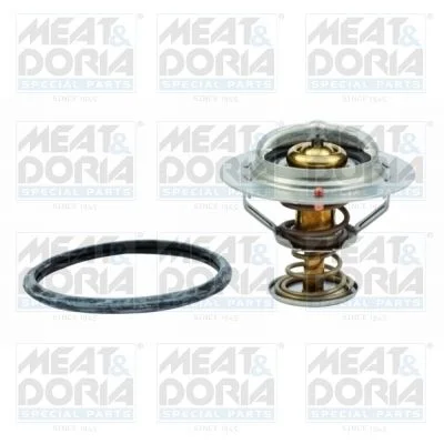 Termostatas, aušinimo skystis MEAT & DORIA 92343