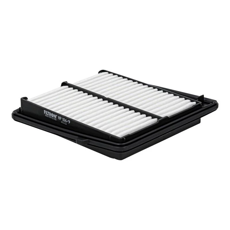 Oro filtras FILTRON FILTRY AP106/9