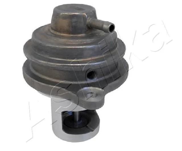 EGR Valve ASHIKA 150-00-0502
