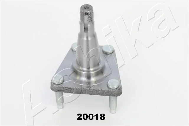 Wheel Hub ASHIKA 44-20018
