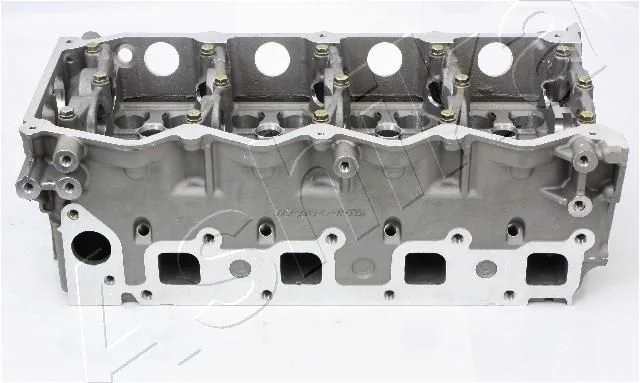 Cylinder Head ASHIKA NS012S