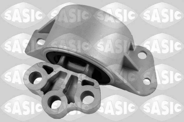 Variklio montavimas SASIC 2706427