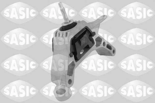 Variklio montavimas SASIC 2706428