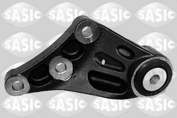 Variklio montavimas SAS 2706441
