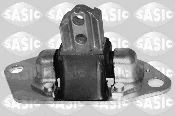 Variklio montavimas SASIC 2706455