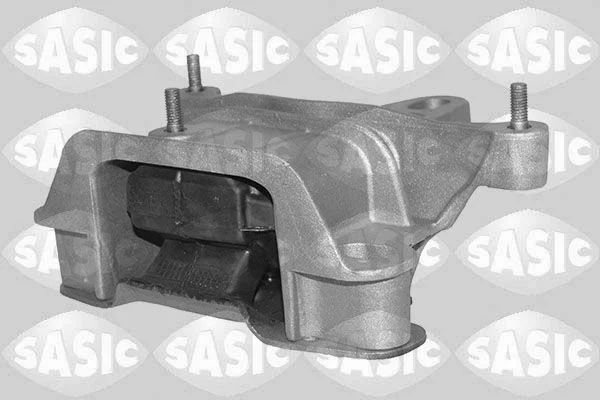 Variklio montavimas SASIC 2706481