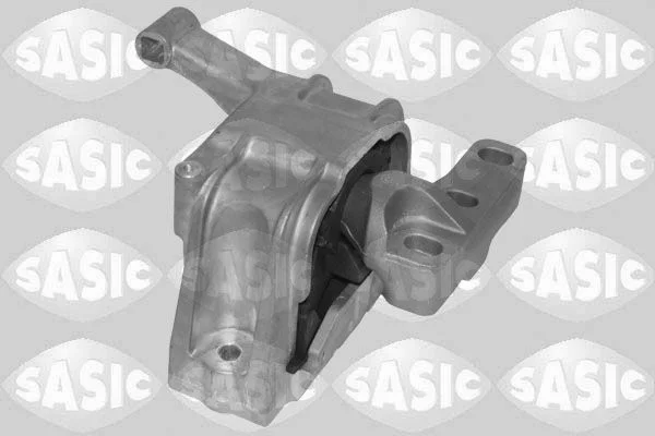 Variklio montavimas SASIC 2706564