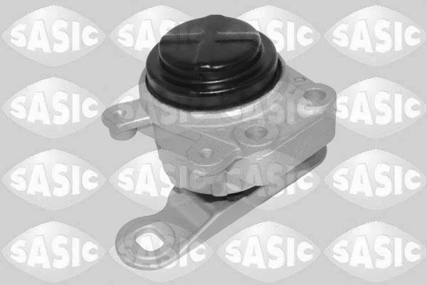 Variklio montavimas SASIC 2706585
