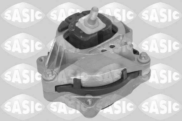 Variklio montavimas SASIC 2706695