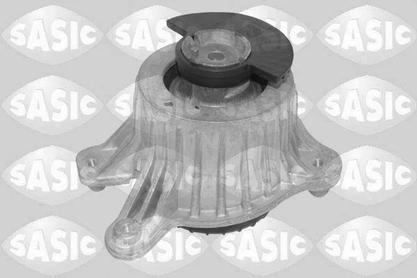 Variklio montavimas SASIC 2706717