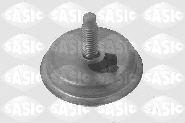 Variklio montavimas SASIC 2700003