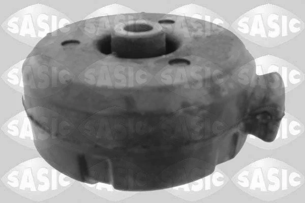 Variklio montavimas SASIC 2704078