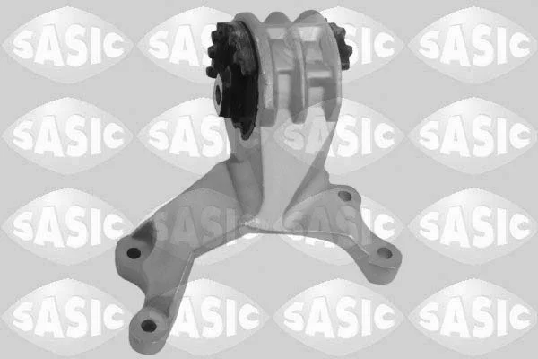 Variklio montavimas SASIC 2706125