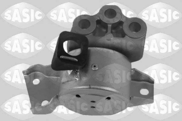 Variklio montavimas SASIC 2706140