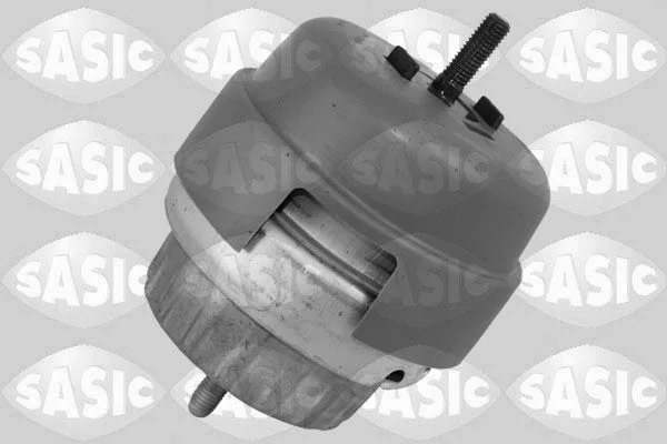 Variklio montavimas SASIC 2706184