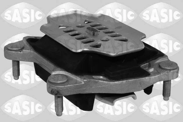 Variklio montavimas SASIC 2706189