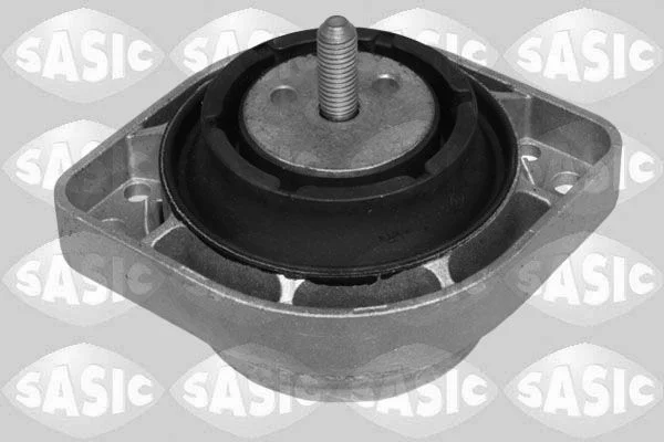 Variklio montavimas SASIC 2706218