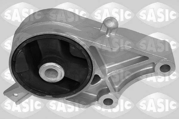 Variklio montavimas SASIC 2706229