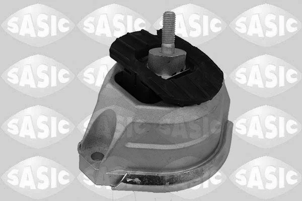 Variklio montavimas SASIC 2706237