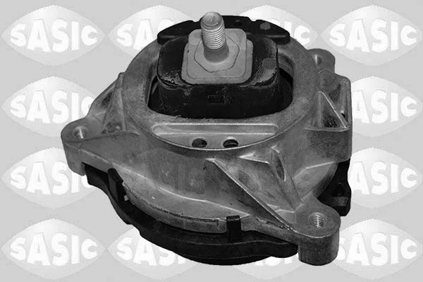 Variklio montavimas SASIC 2706321
