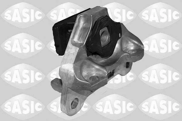 Variklio montavimas SASIC 2706338