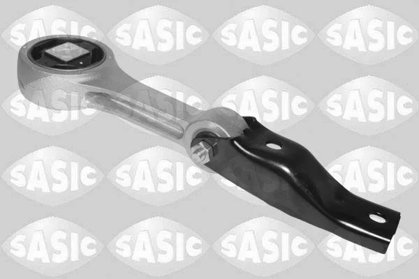 Variklio montavimas SASIC 2706461