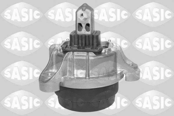 Variklio montavimas SASIC 2706482