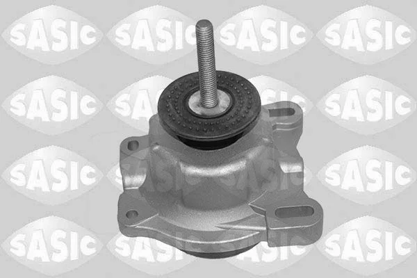 Variklio montavimas SASIC 2706484