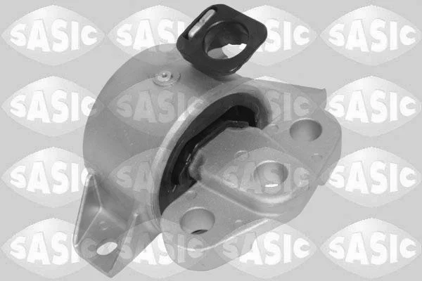 Variklio montavimas SASIC 2706504