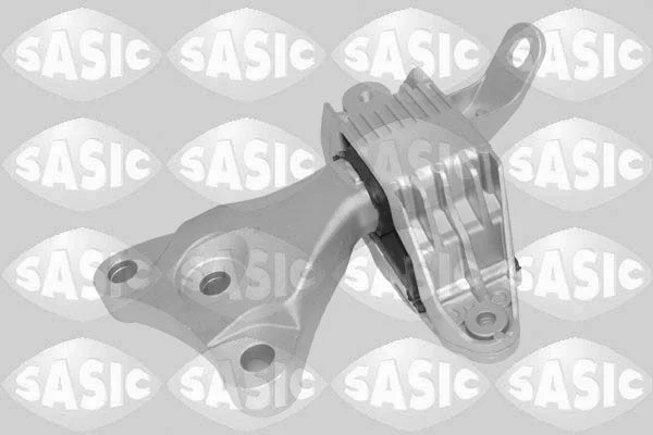 Variklio montavimas SASIC 2706529