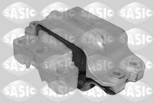 Variklio montavimas SASIC 2706541