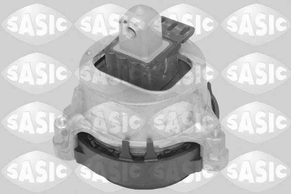 Variklio montavimas SASIC 2706618