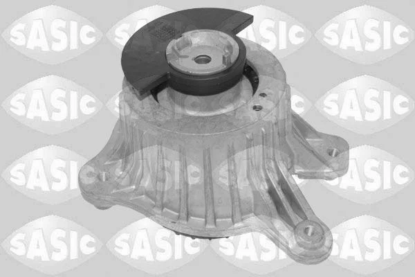 Variklio montavimas SASIC 2706650