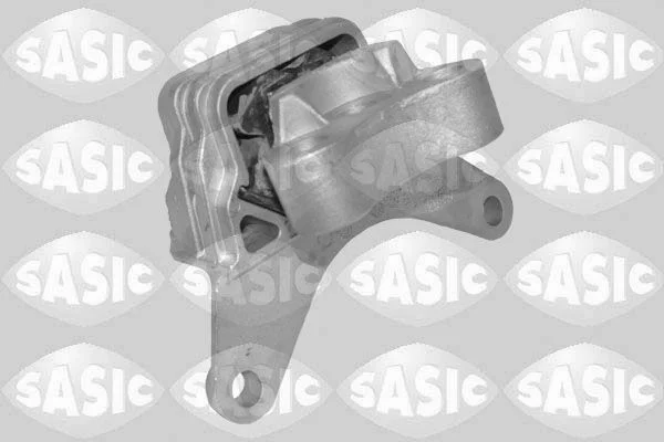 Variklio montavimas SASIC 2706690
