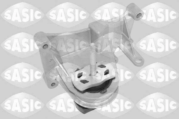 Variklio montavimas SASIC 2706785