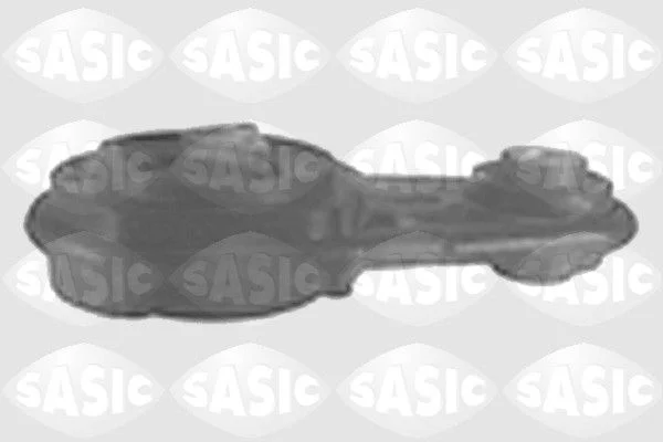 Variklio montavimas SASIC 4001717