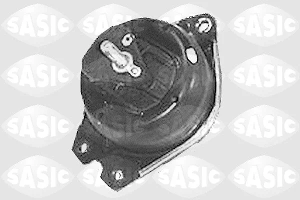 Variklio montavimas SASIC 4001832