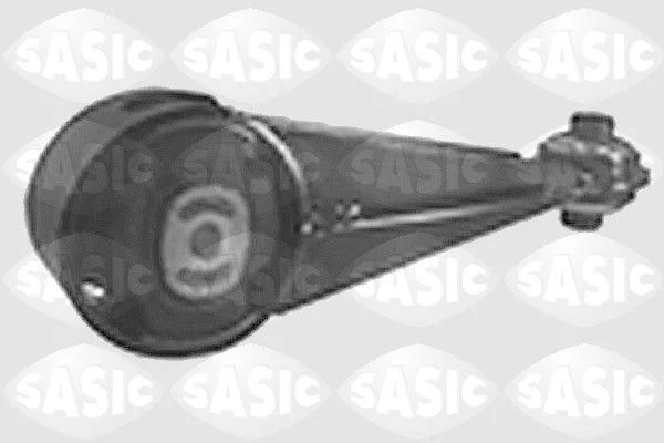 Variklio montavimas SASIC 8061431