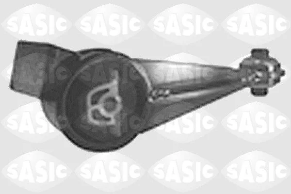 Variklio montavimas SASIC 8061521