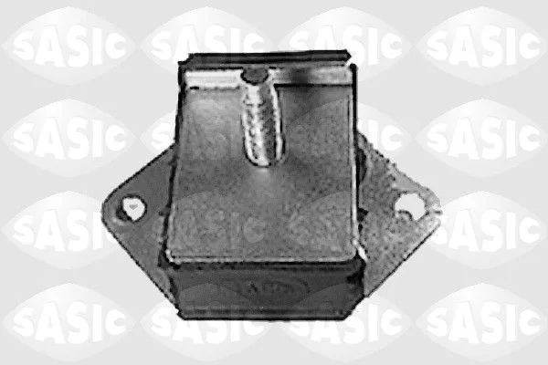 Variklio montavimas SASIC 8071251