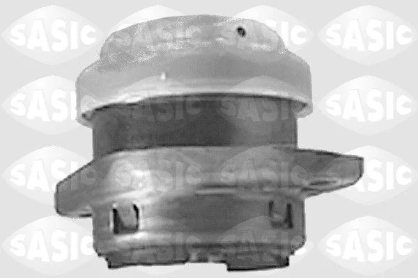 Variklio montavimas SASIC 8441601