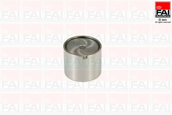 Tappet FAI AutoParts BFS181S
