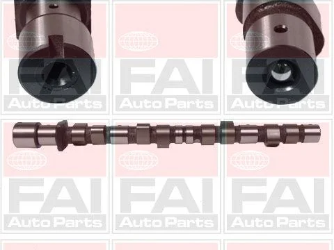 Camshaft FAI AutoParts C175