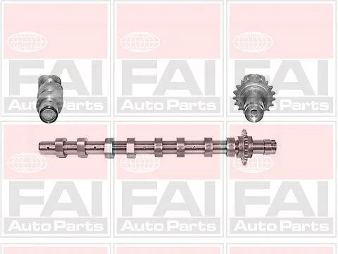 Camshaft FAI AutoParts C266