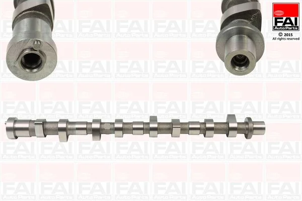 Camshaft FAI AutoParts C294