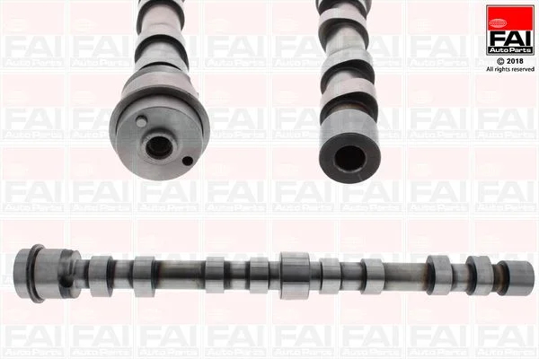 Camshaft FAI AutoParts C391