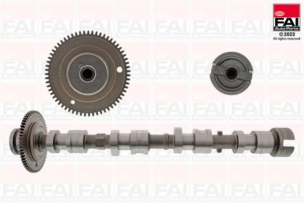 Camshaft FAI AutoParts C529