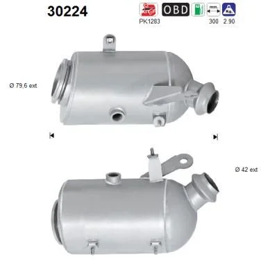 Catalytic Converter AS 30224