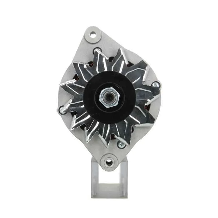 Alternator BV PSH 135.007.070.010
