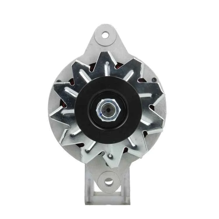 Alternátor BV PSH 165.003.050.080